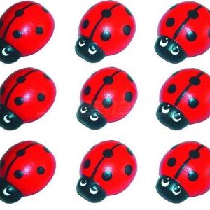 Lepatriinu magnet LMR